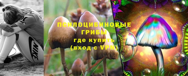 бошки Инсар
