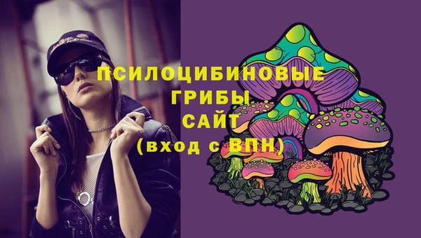 бошки Инсар