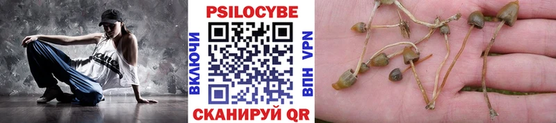 Купить закладки  Михайлов  Галлюциногенные грибы прущие грибы 